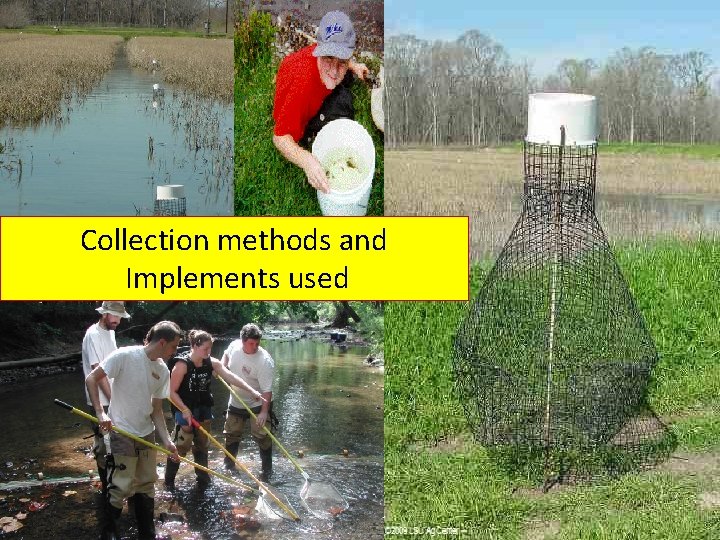 Collection methods and Implements used 