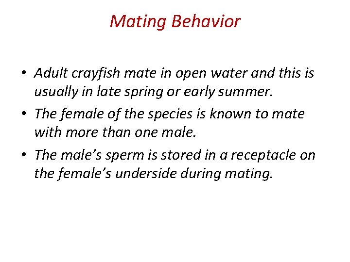 Mating Behavior • Adult crayfish mate in open water and this is usually in