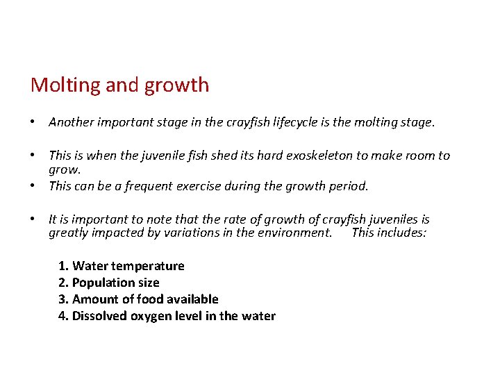 Molting and growth • Another important stage in the crayfish lifecycle is the molting