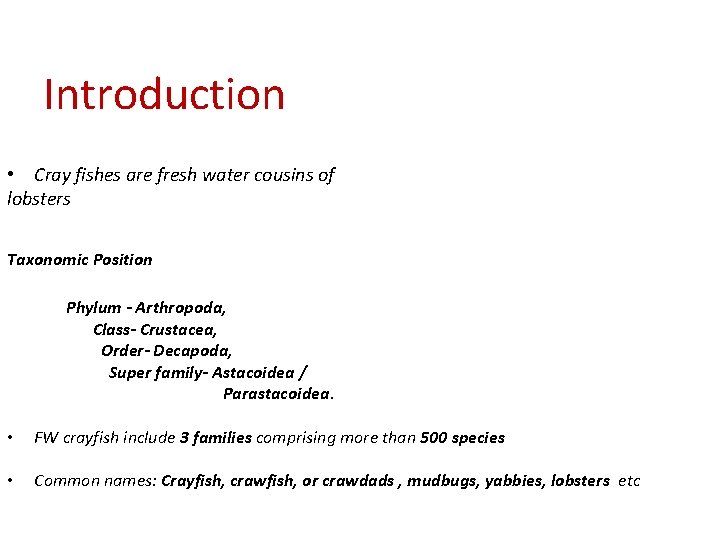 Introduction • Cray fishes are fresh water cousins of lobsters Taxonomic Position Phylum -