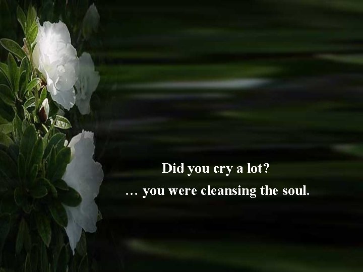 Did you cry a lot? … you were cleansing the soul. 