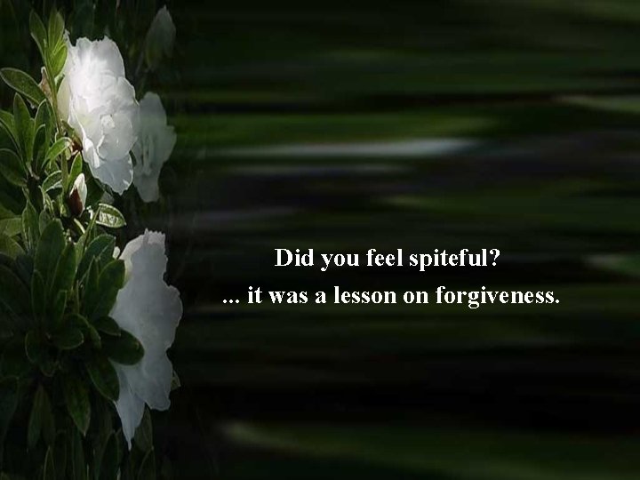 Did you feel spiteful? . . . it was a lesson on forgiveness. 