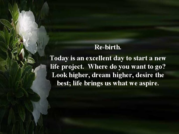 Re-birth. Today is an excellent day to start a new life project. Where do