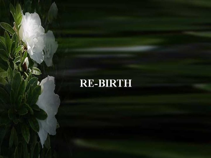 RE-BIRTH 