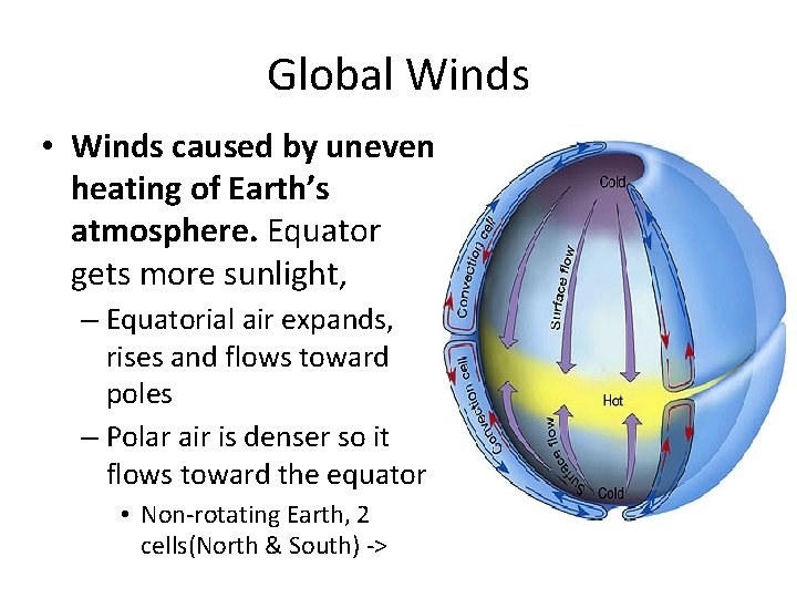Global Winds • Winds caused by uneven heating of Earth’s atmosphere. Equator gets more