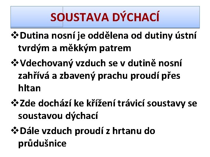 SOUSTAVA DÝCHACÍ v. Dutina nosní je oddělena od dutiny ústní tvrdým a měkkým patrem