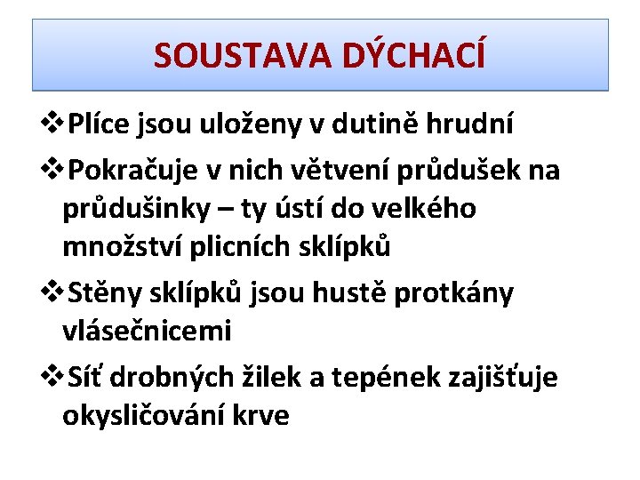 SOUSTAVA DÝCHACÍ v. Plíce jsou uloženy v dutině hrudní v. Pokračuje v nich větvení