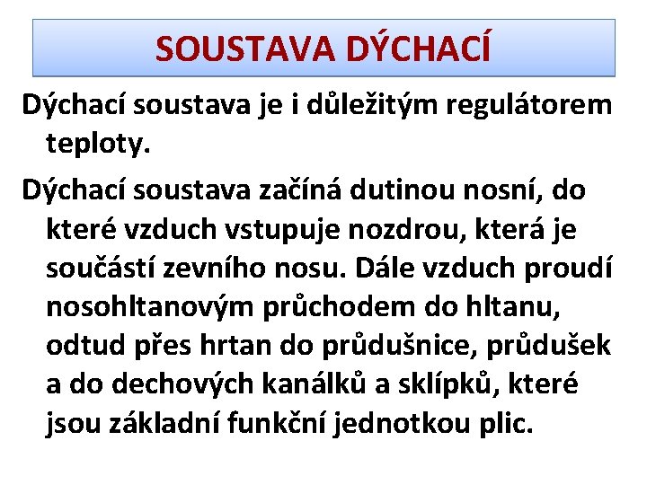 SOUSTAVA DÝCHACÍ Dýchací soustava je i důležitým regulátorem teploty. Dýchací soustava začíná dutinou nosní,