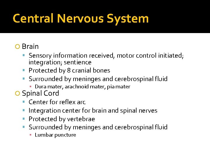 Central Nervous System Brain Sensory information received, motor control initiated; integration; sentience Protected by