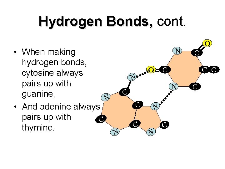 Hydrogen Bonds, cont. • When making hydrogen bonds, cytosine always pairs up with guanine,