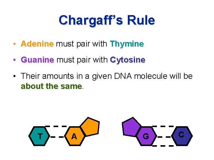 Chargaff’s Rule • Adenine must pair with Thymine • Guanine must pair with Cytosine