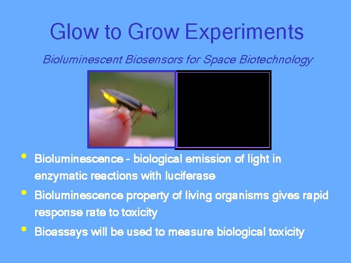 Glow to Grow Experiments Bioluminescent Biosensors for Space Biotechnology • • • Bioluminescence -
