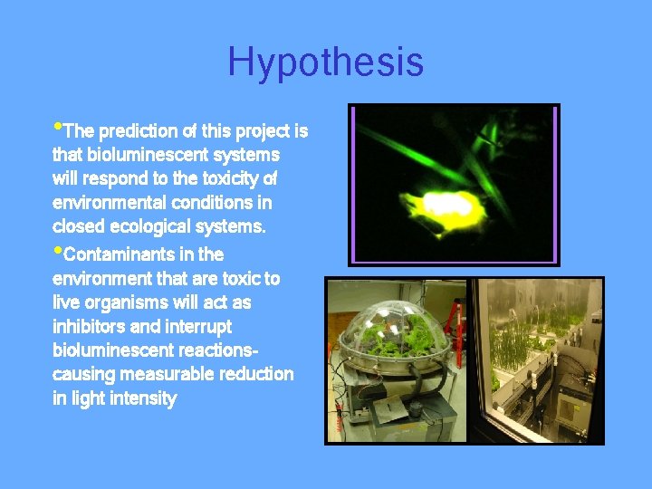 Hypothesis • The prediction of this project is that bioluminescent systems will respond to