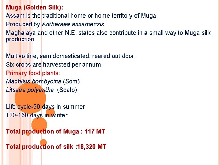 Muga (Golden Silk): Assam is the traditional home or home territory of Muga: Produced