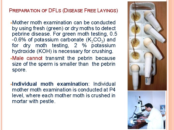 PREPARATION OF DFLS (DISEASE FREE LAYINGS) §Mother moth examination can be conducted by using