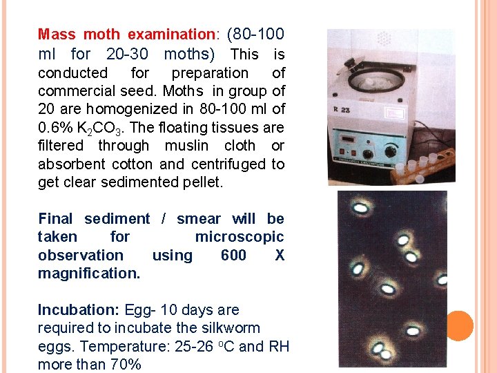 Mass moth examination: (80 -100 ml for 20 -30 moths) This is conducted for
