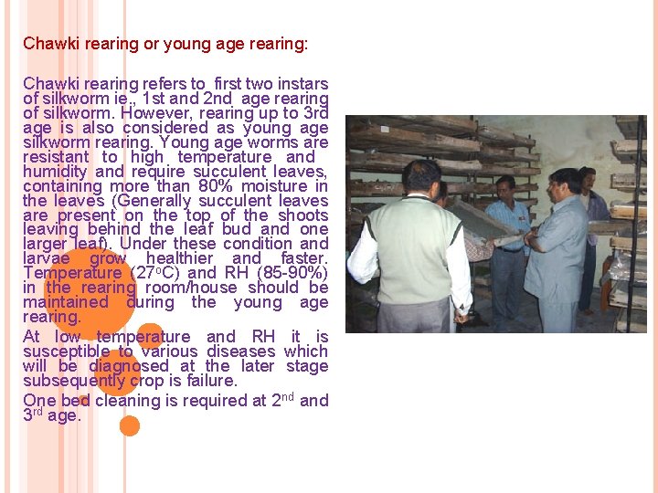 Chawki rearing or young age rearing: Chawki rearing refers to first two instars of