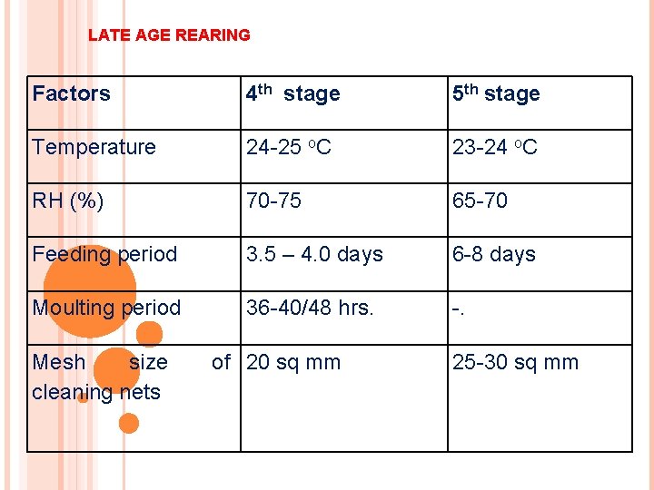 LATE AGE REARING Factors 4 th stage 5 th stage Temperature 24 -25 o.