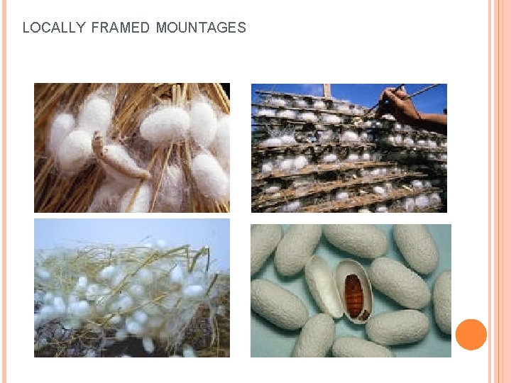 LOCALLY FRAMED MOUNTAGES 