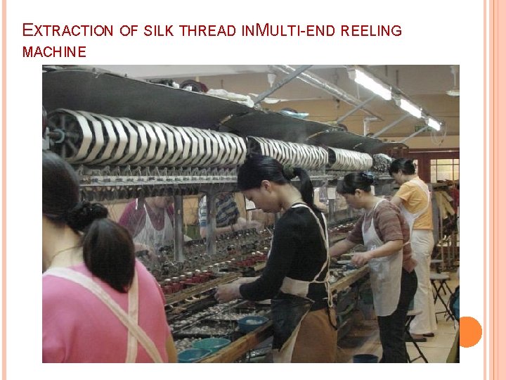 EXTRACTION OF SILK THREAD INMULTI-END REELING MACHINE 