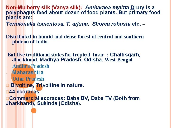 Non-Mulberry silk (Vanya silk): Antharaea mylitta Drury is a polyphagus feed about dozen of