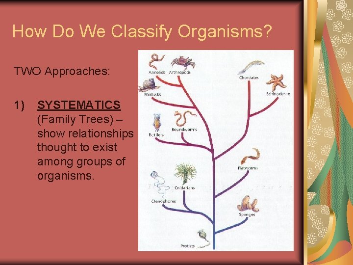 How Do We Classify Organisms? TWO Approaches: 1) SYSTEMATICS (Family Trees) – show relationships