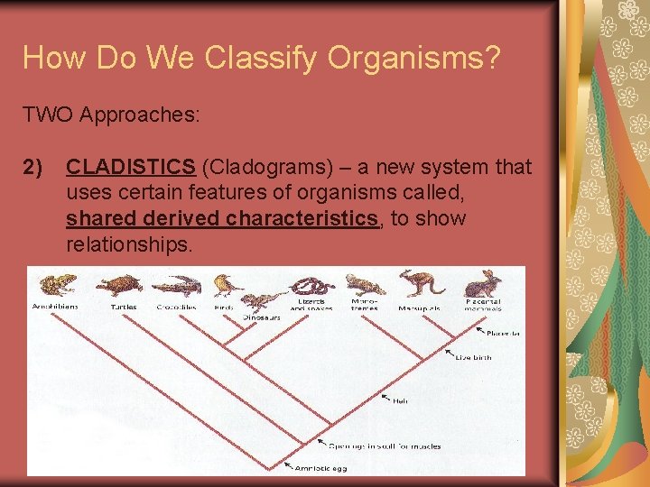 How Do We Classify Organisms? TWO Approaches: 2) CLADISTICS (Cladograms) – a new system
