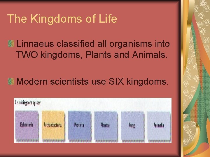 The Kingdoms of Life Linnaeus classified all organisms into TWO kingdoms, Plants and Animals.