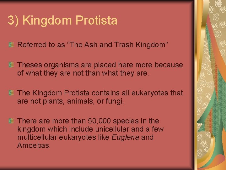 3) Kingdom Protista Referred to as “The Ash and Trash Kingdom” Theses organisms are