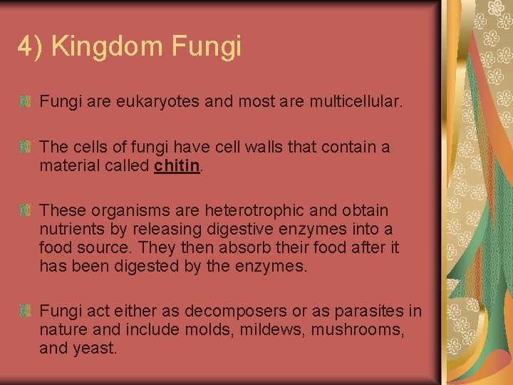 4) Kingdom Fungi are eukaryotes and most are multicellular. The cells of fungi have