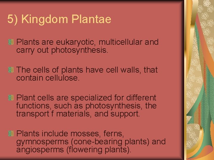 5) Kingdom Plantae Plants are eukaryotic, multicellular and carry out photosynthesis. The cells of
