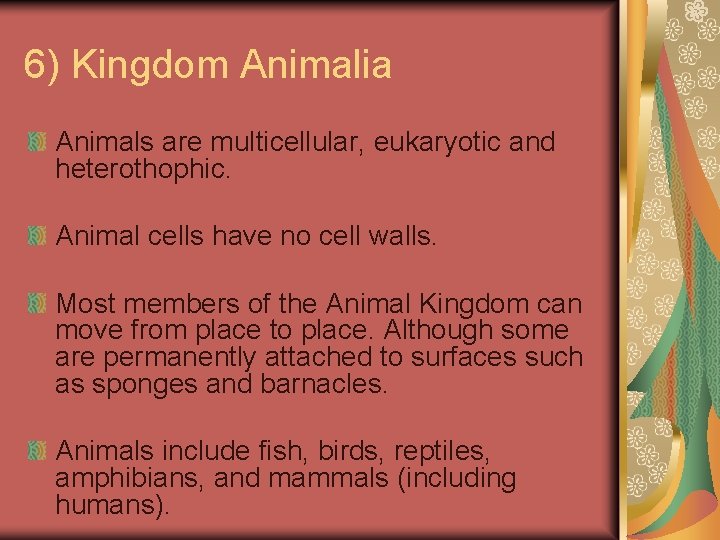 6) Kingdom Animalia Animals are multicellular, eukaryotic and heterothophic. Animal cells have no cell