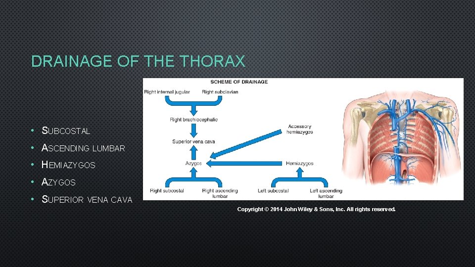 DRAINAGE OF THE THORAX • SUBCOSTAL • ASCENDING LUMBAR • HEMIAZYGOS • SUPERIOR VENA