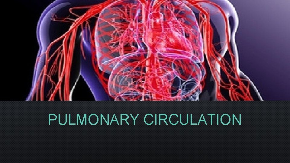 PULMONARY CIRCULATION 