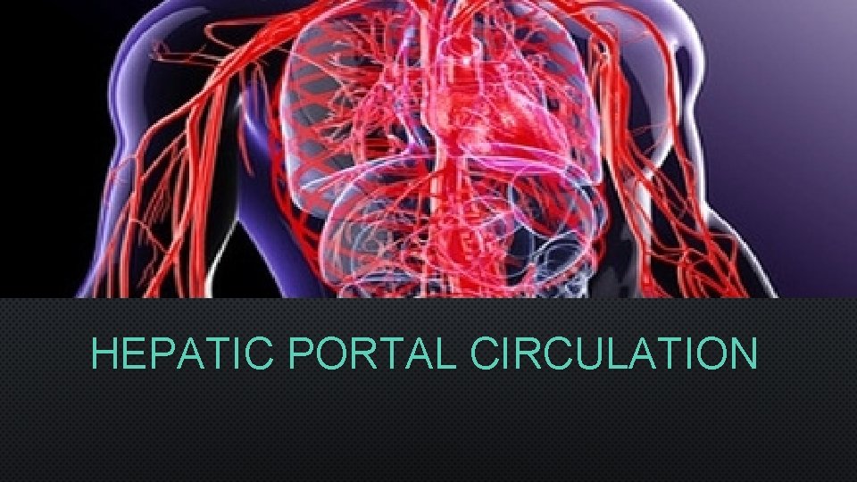 HEPATIC PORTAL CIRCULATION 