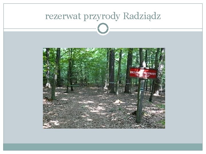 rezerwat przyrody Radziądz 
