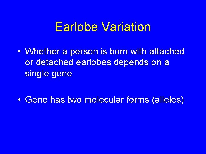 Earlobe Variation • Whether a person is born with attached or detached earlobes depends