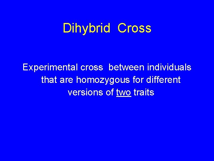 Dihybrid Cross Experimental cross between individuals that are homozygous for different versions of two