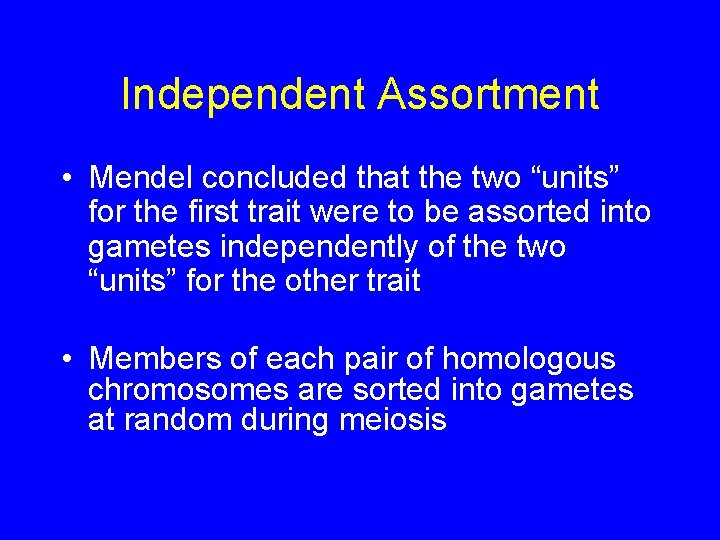 Independent Assortment • Mendel concluded that the two “units” for the first trait were