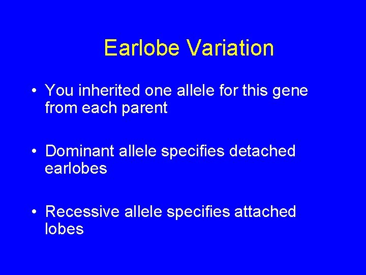 Earlobe Variation • You inherited one allele for this gene from each parent •