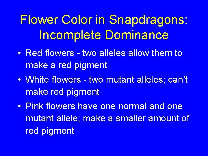 Flower Color in Snapdragons: Incomplete Dominance • Red flowers - two alleles allow them