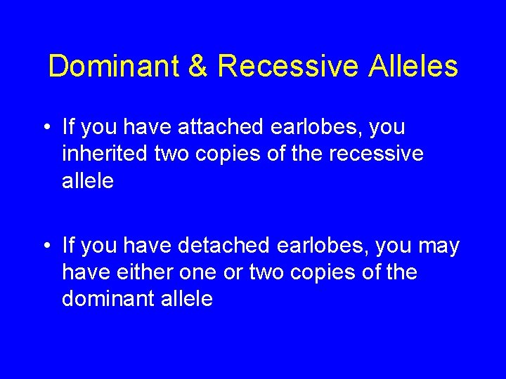 Dominant & Recessive Alleles • If you have attached earlobes, you inherited two copies
