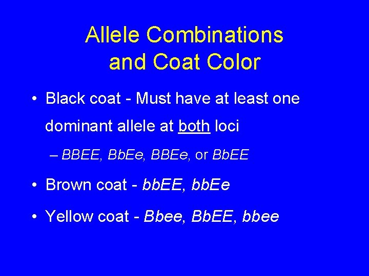 Allele Combinations and Coat Color • Black coat - Must have at least one