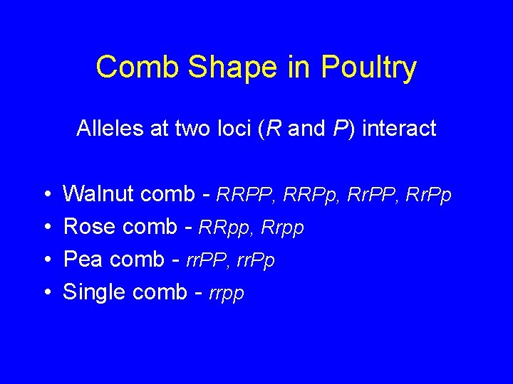 Comb Shape in Poultry Alleles at two loci (R and P) interact • •