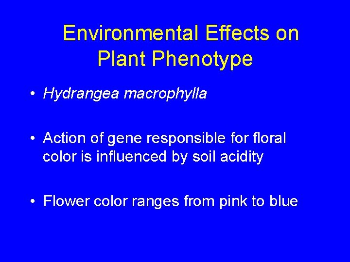 Environmental Effects on Plant Phenotype • Hydrangea macrophylla • Action of gene responsible for