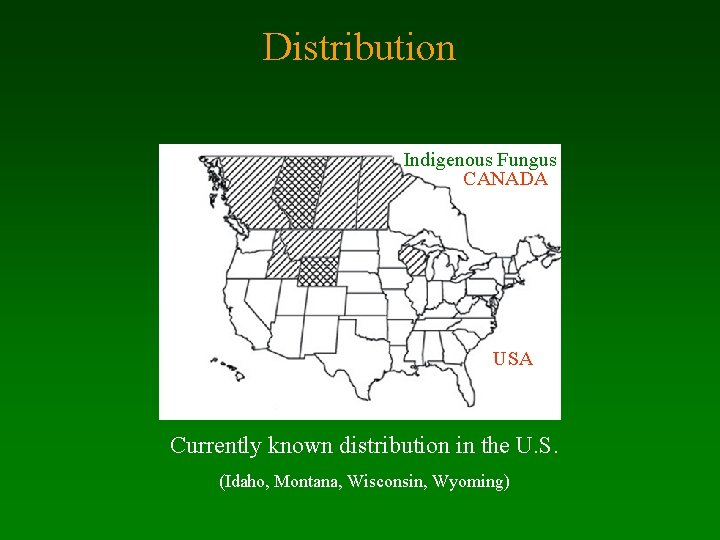 Distribution Indigenous Fungus CANADA USA Currently known distribution in the U. S. (Idaho, Montana,