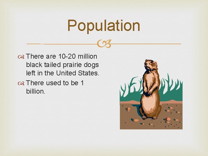 Population There are 10 -20 million black tailed prairie dogs left in the United