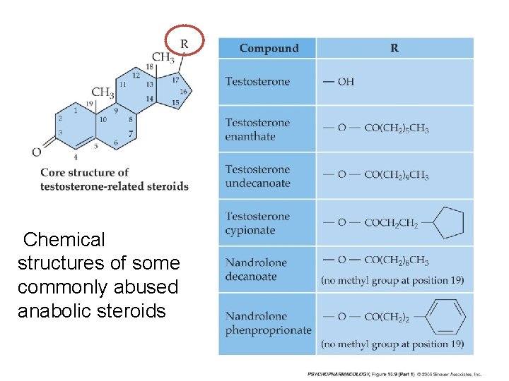 Chemical structures of some commonly abused anabolic steroids 