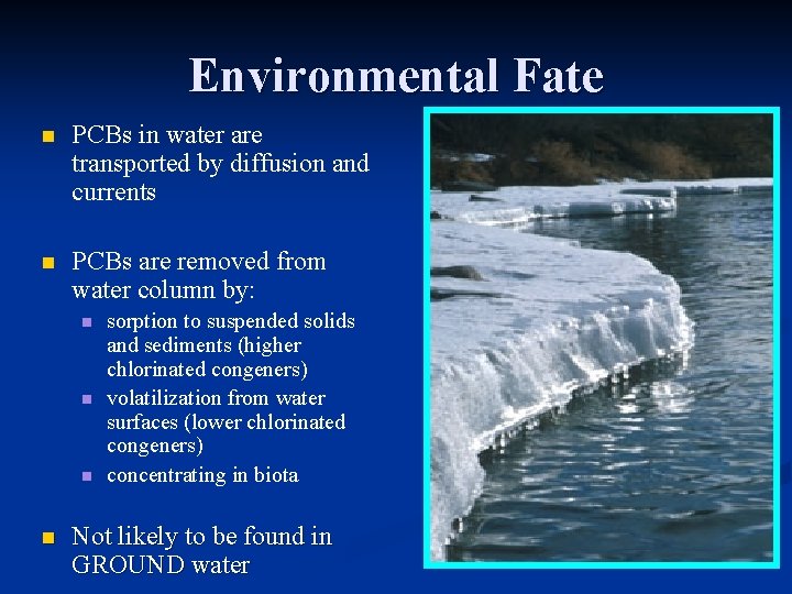 Environmental Fate n PCBs in water are transported by diffusion and currents n PCBs