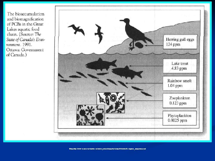 From http: //www. science. uwaterloo. ca/course_notes/chemistry/chem 404/notes/03 -organic_compounds. pdf 
